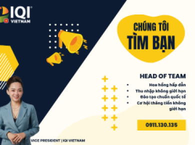 Head of Team Sales - IQI VIETNAM 🌍🚀 